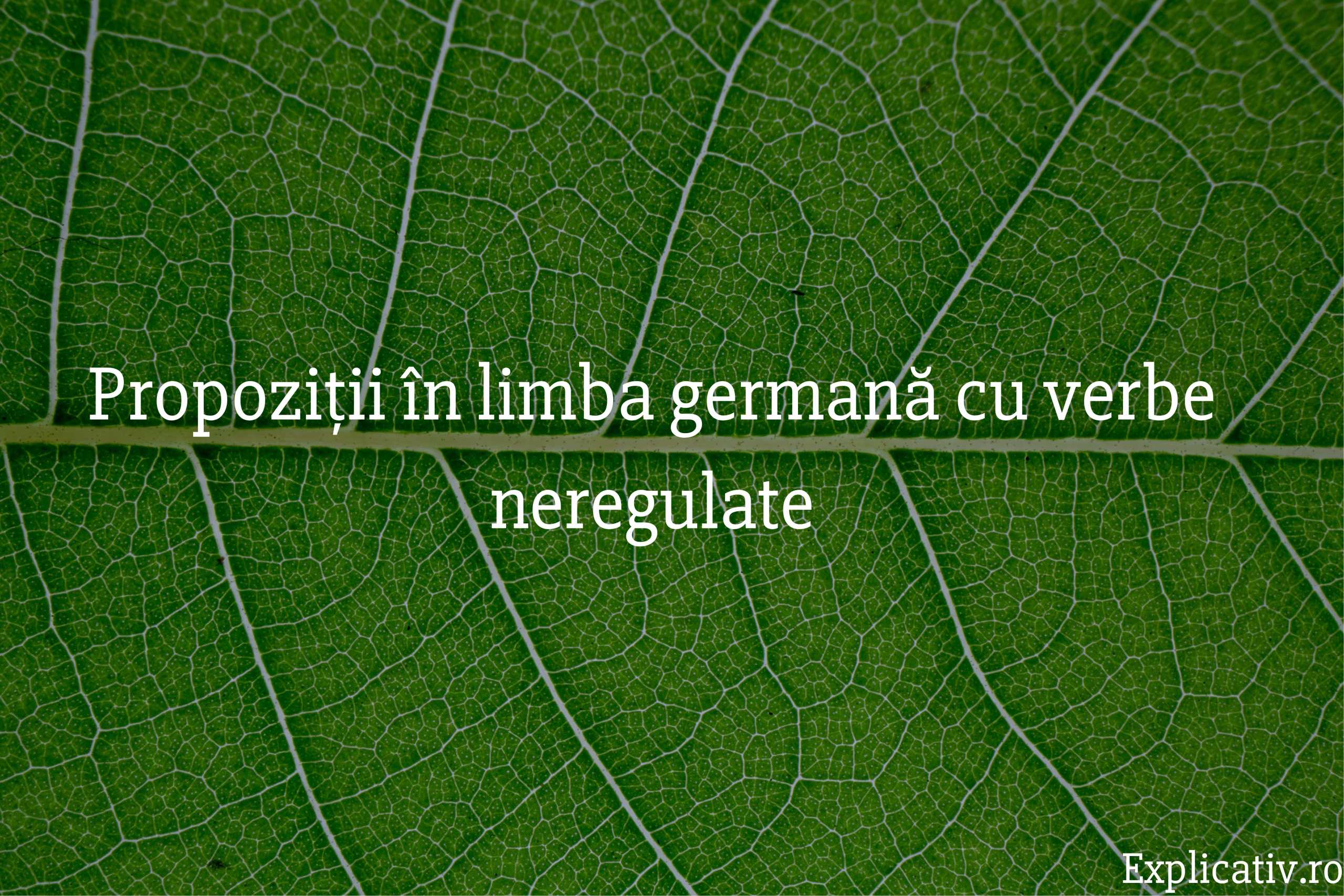Propoziții în limba germană cu verbe neregulate