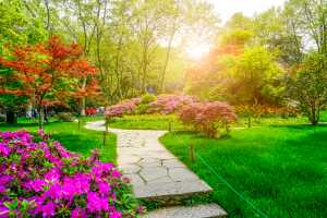 Cum să-ți transformi grădina într-o oază de relaxare