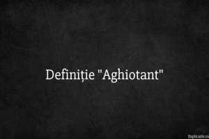 Definiție Aghiotant