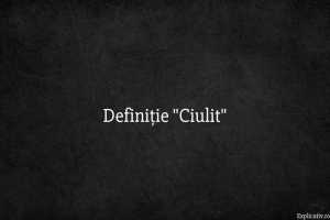 Definiție Ciulit