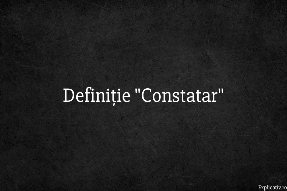 Definiție Constatar
