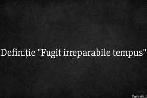 Definiție Dex Fugit irreparabile tempus