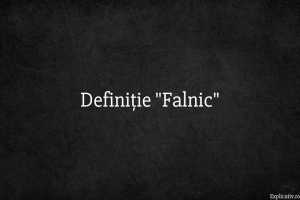 Definiție Falnic