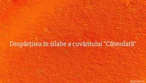 Despărțirea în silabe a cuvântului Câteodată