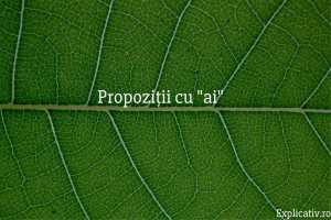 Propoziții cu ai