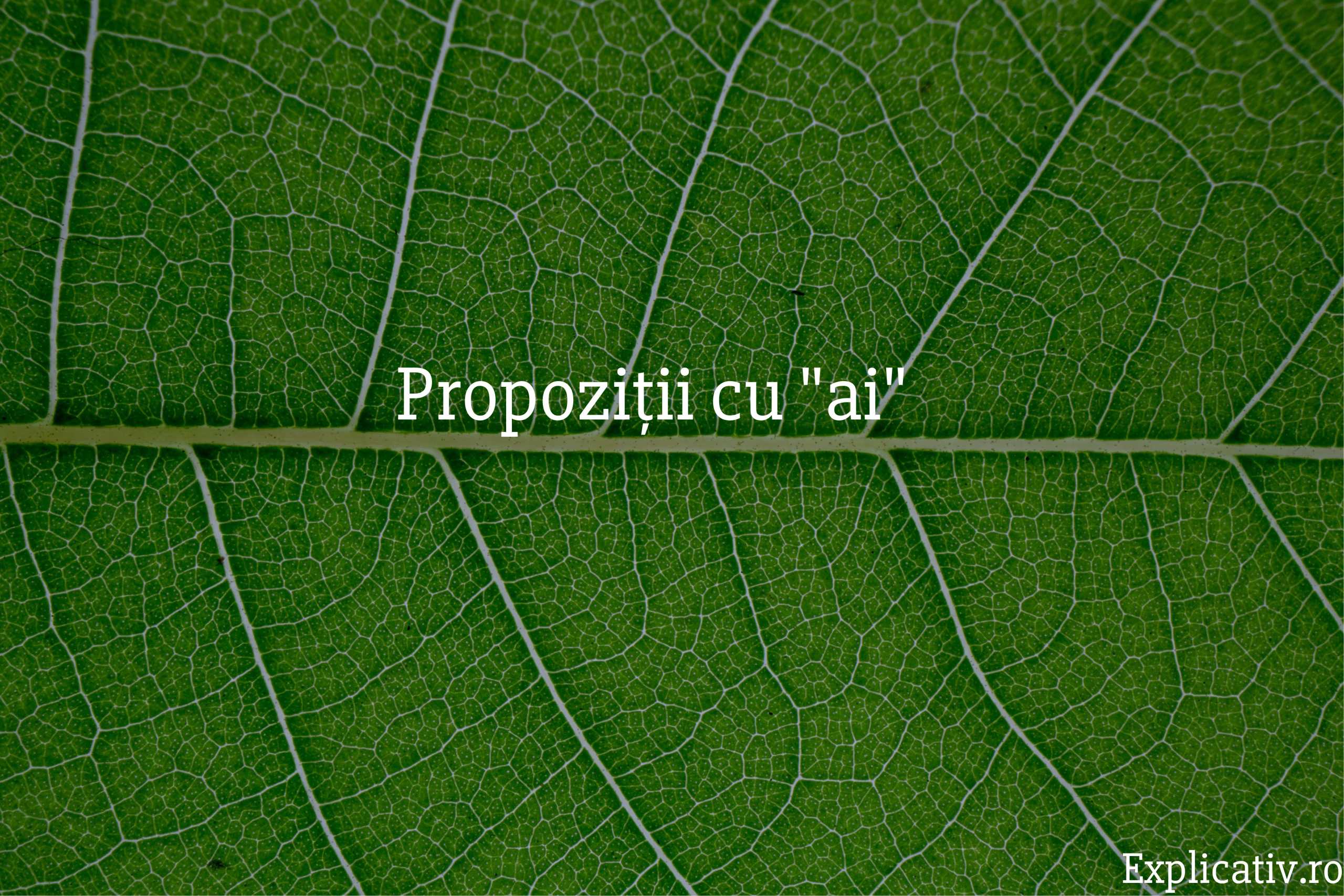 Propoziții cu ai