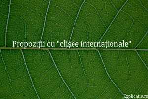 Propoziții cu clișee internaționale