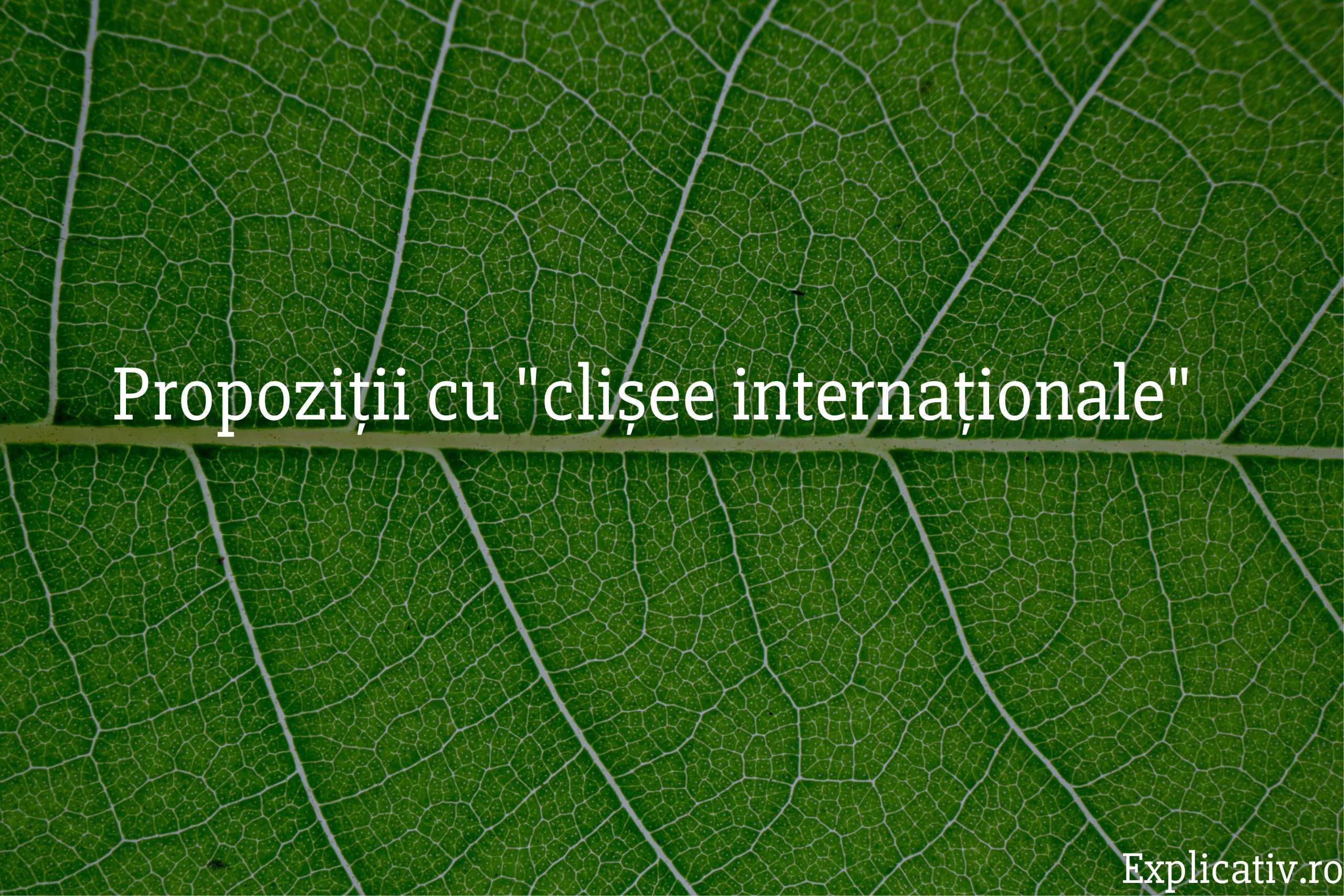 Propoziții cu clișee internaționale