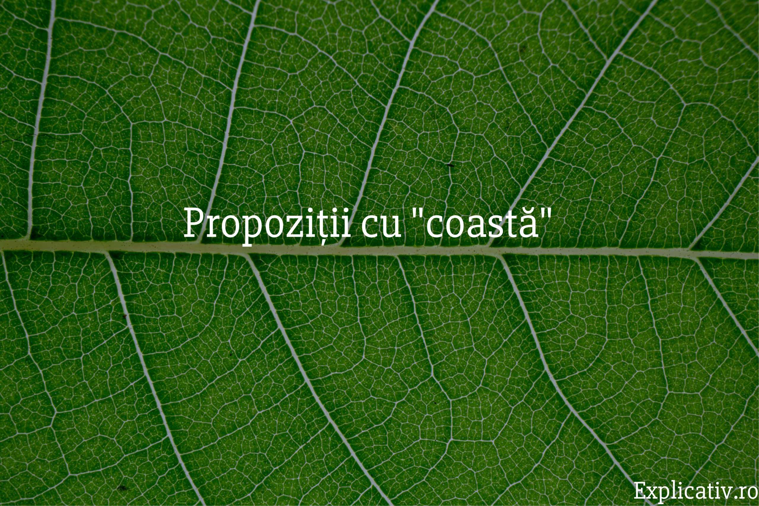 Propoziții cu coastă