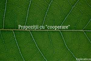 Propoziții cu cooperare
