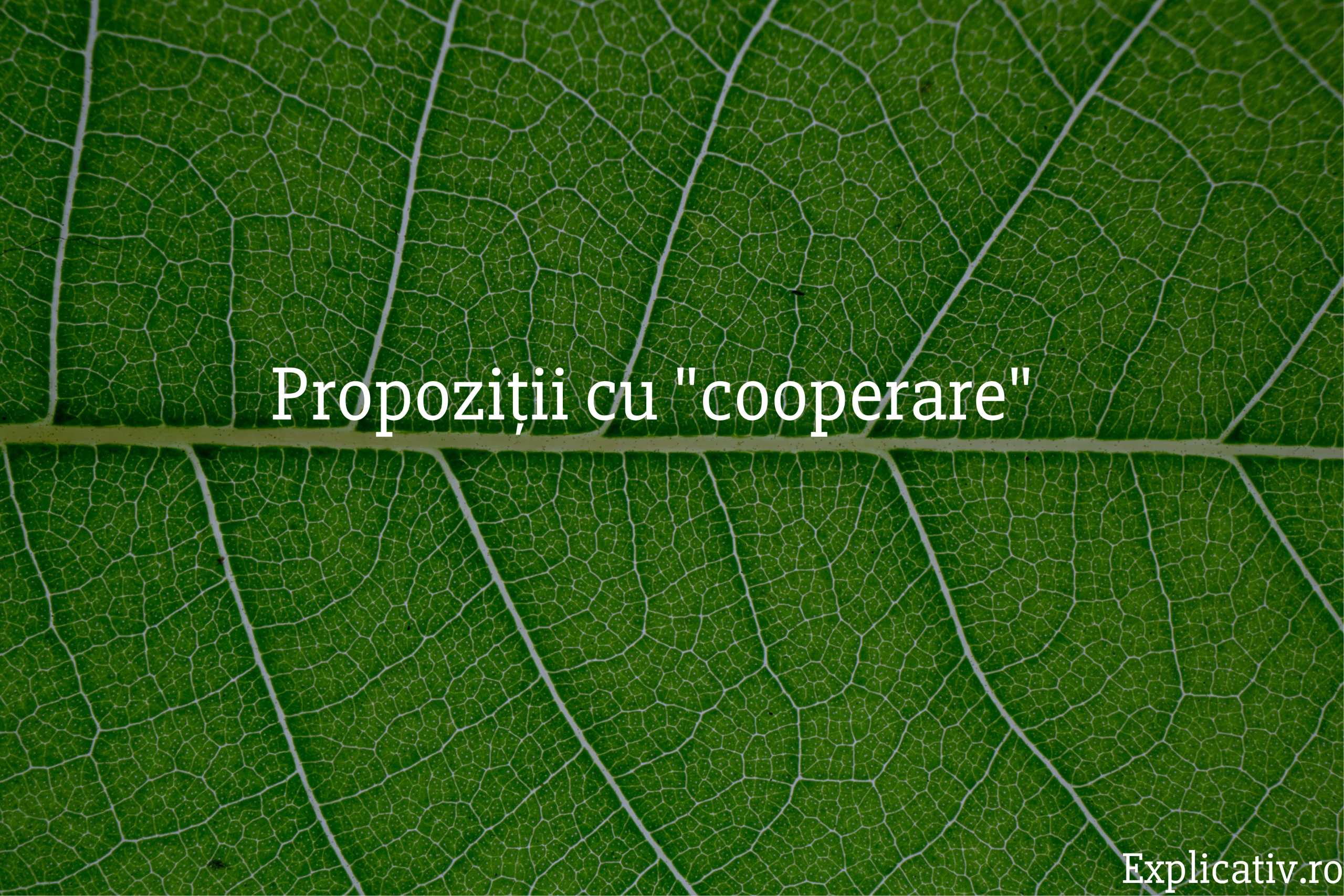Propoziții cu cooperare