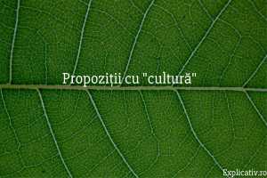 Propoziții cu cultură