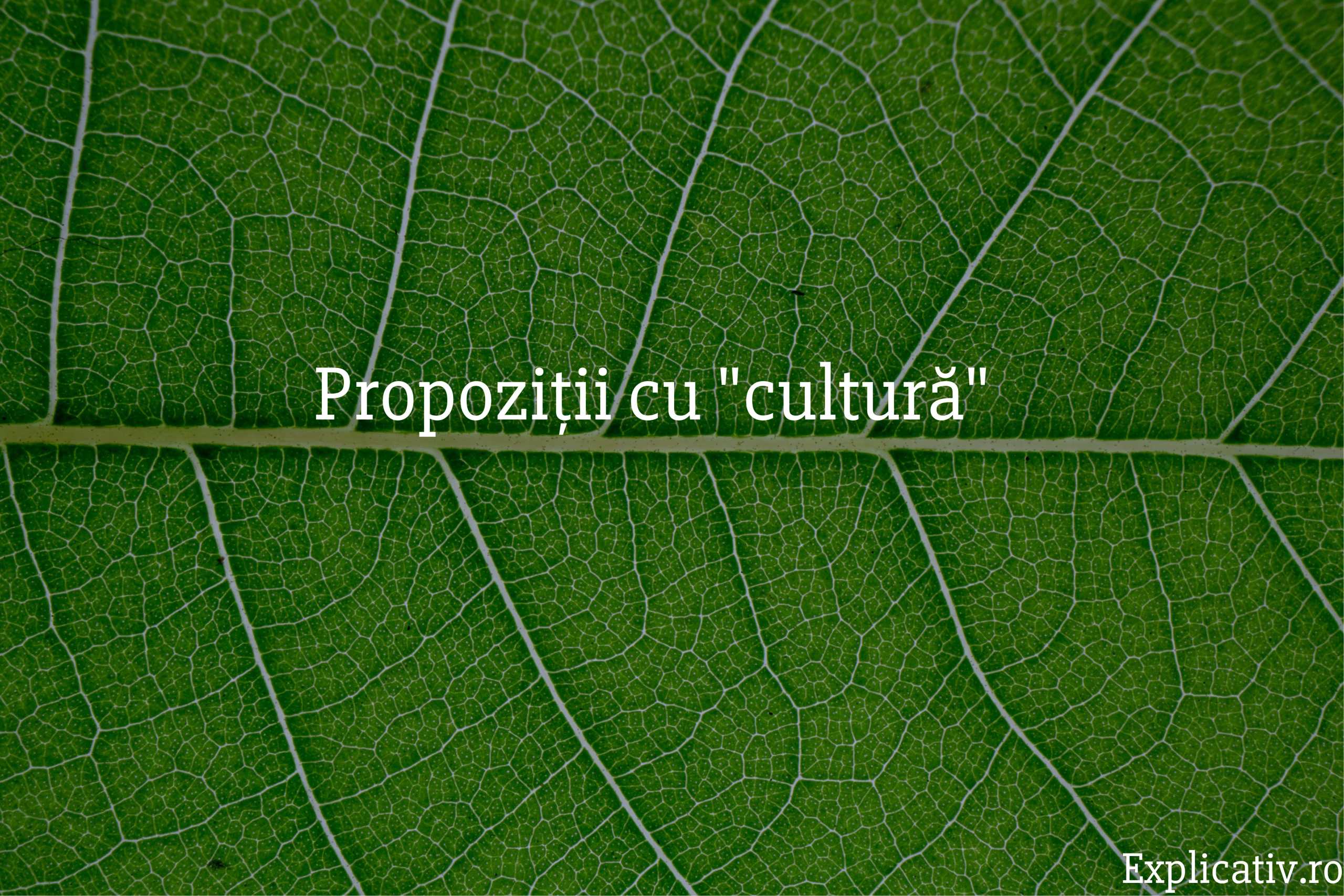 Propoziții cu cultură