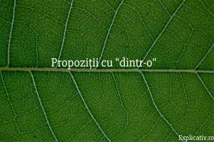 Propoziții cu dintr-o