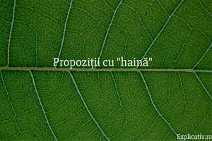 Propoziții cu haină