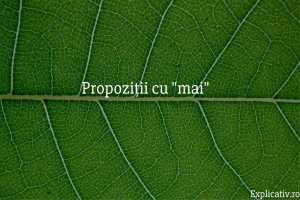Propoziții cu mai