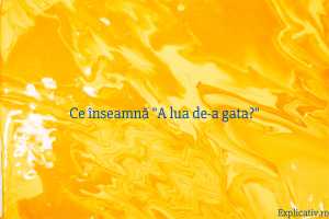 Ce înseamnă A lua de-a gata