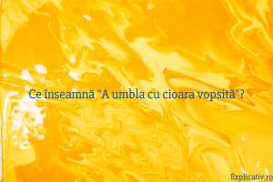 Ce înseamnă A umbla cu cioara vopsită