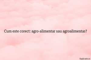 Cum este corect agro-alimentar sau agroalimentar