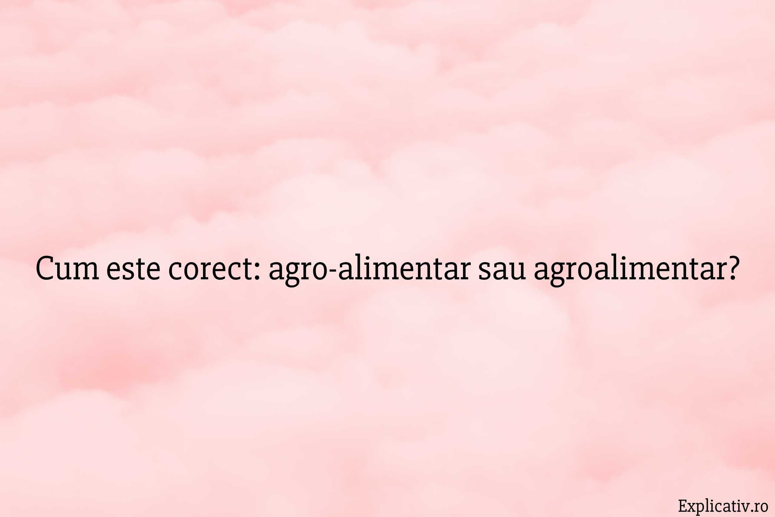 Cum este corect agro-alimentar sau agroalimentar