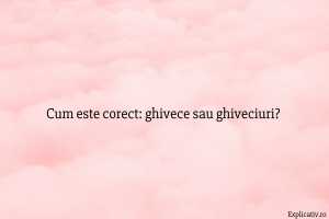 Cum este corect ghivece sau ghiveciuri
