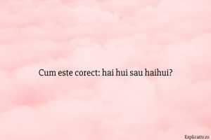 Cum este corect hai hui sau haihui