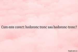 Cum este corect hodoronc tronc sau hodoronc-tronc