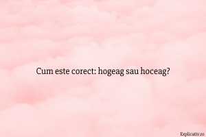 Cum este corect hogeag sau hoceag