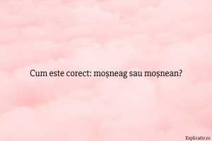 Cum este corect moșneag sau moșnean
