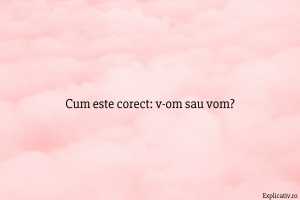 Cum este corect v-om sau vom