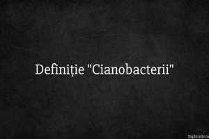 Definiție Cianobacterii
