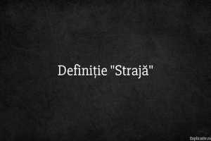 Definiție Strajă