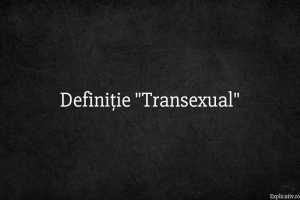Definiție Transexual