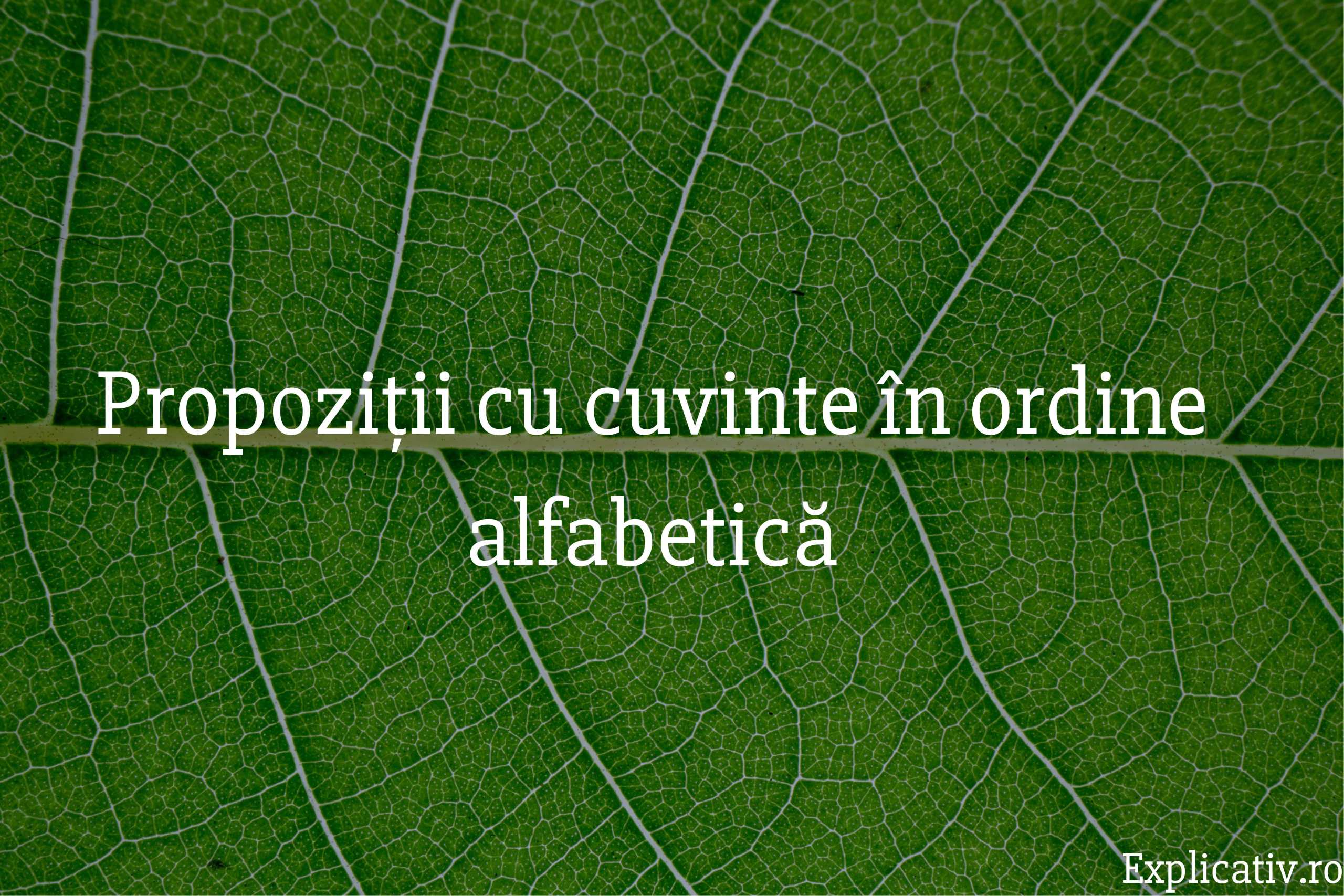Propoziții cu cuvinte în ordine alfabetică