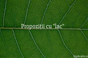Propoziții cu lac