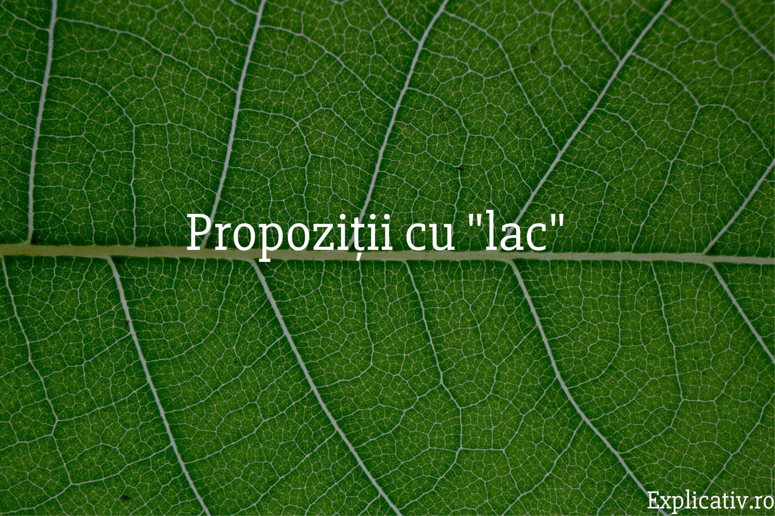 Propoziții cu lac