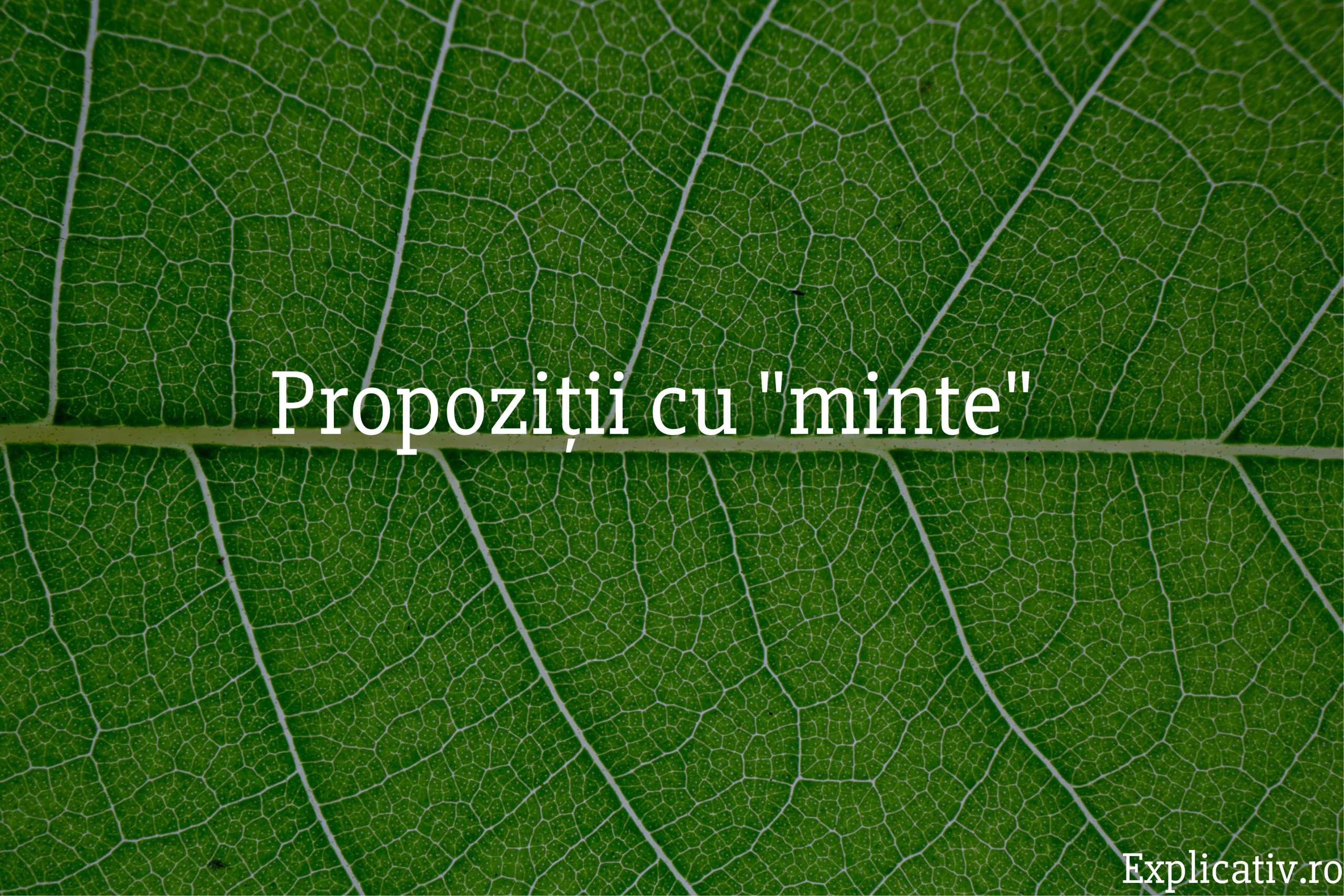 Propoziții cu minte