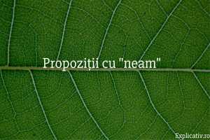 Propoziții cu neam
