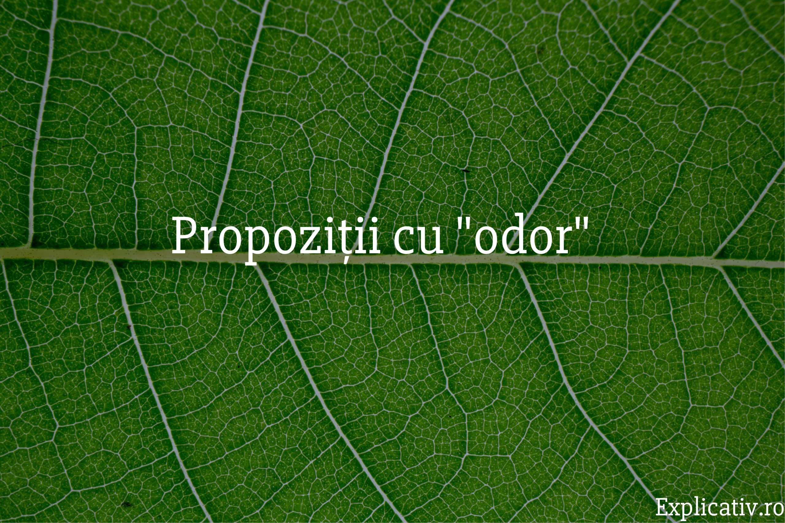 Propoziții cu odor