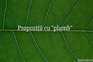 Propoziții cu plumb