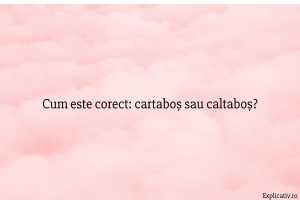 Cum este corect cartaboș sau caltaboș