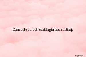 Cum este corect cartilagiu sau cartilaj