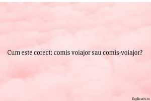 Cum este corect comis voiajor sau comis-voiajor
