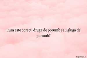 Cum este corect drugă de porumb sau glugă de porumb