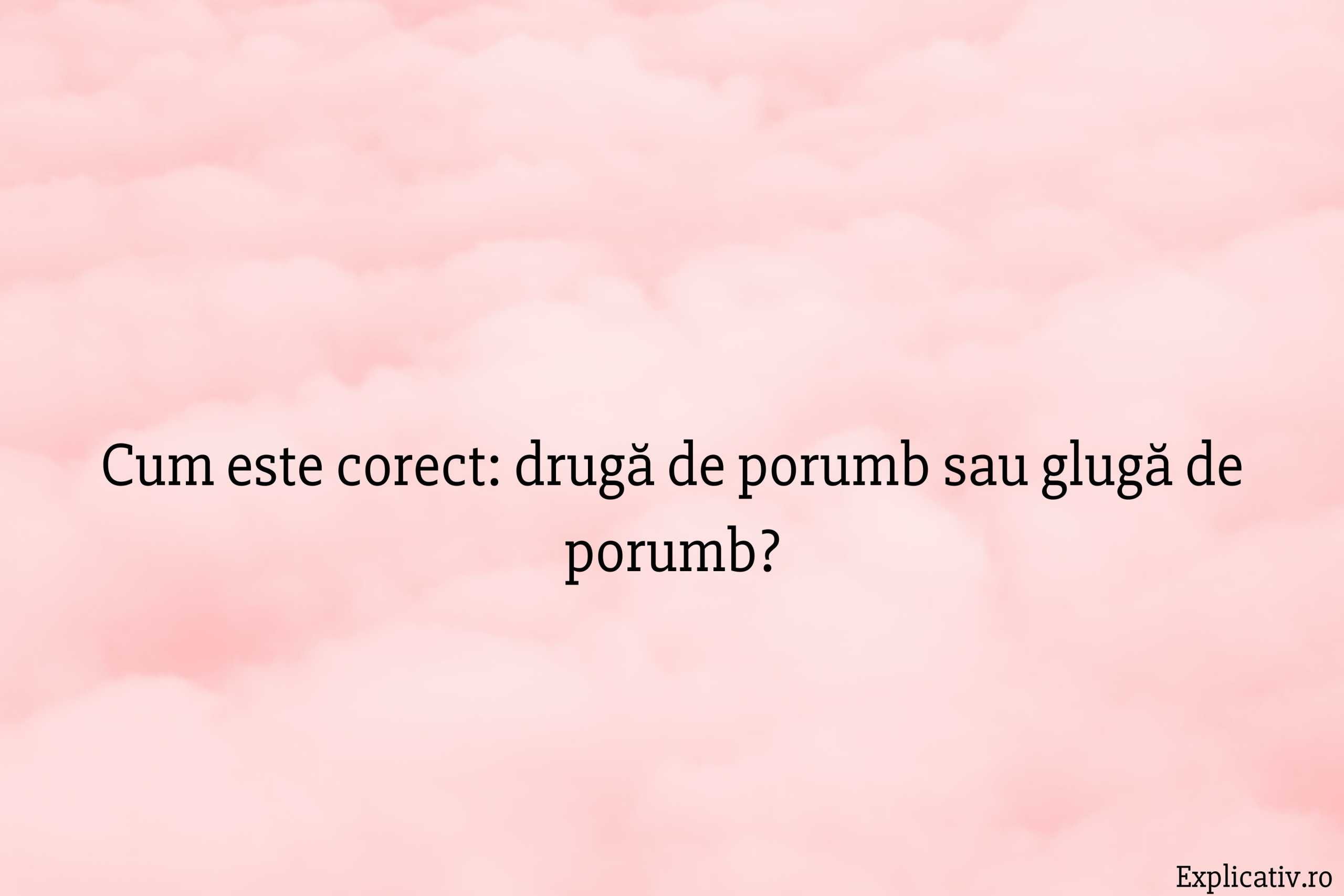 Cum este corect drugă de porumb sau glugă de porumb