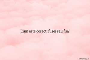 Cum este corect fusei sau fui