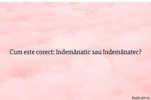 Cum este corect îndemânatic sau îndemânatec