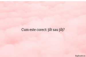 Cum este corect jilt sau jilț