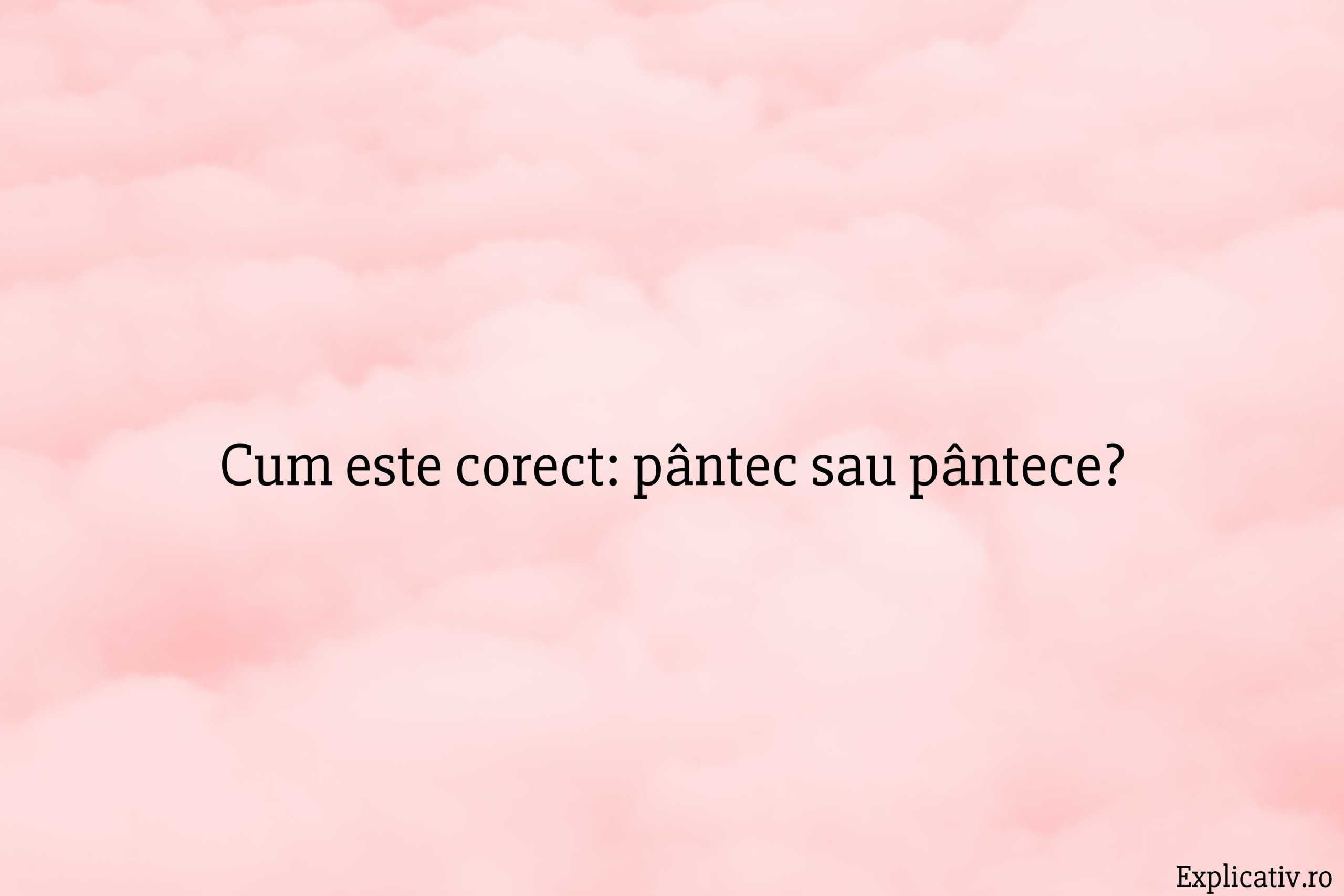 Cum este corect pântec sau pântece