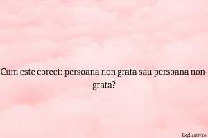 Cum este corect persoana non grata sau persoana non-grata